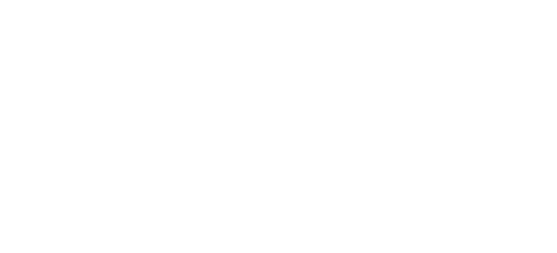 MVS Minimum Viable Solution Logo